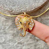 Collar Acero Inoxidable 8811-80